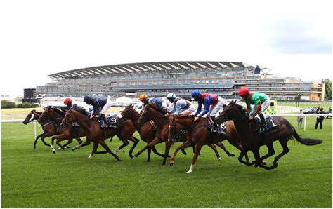 Today's Royal Ascot tips: the horses to back on Friday .
